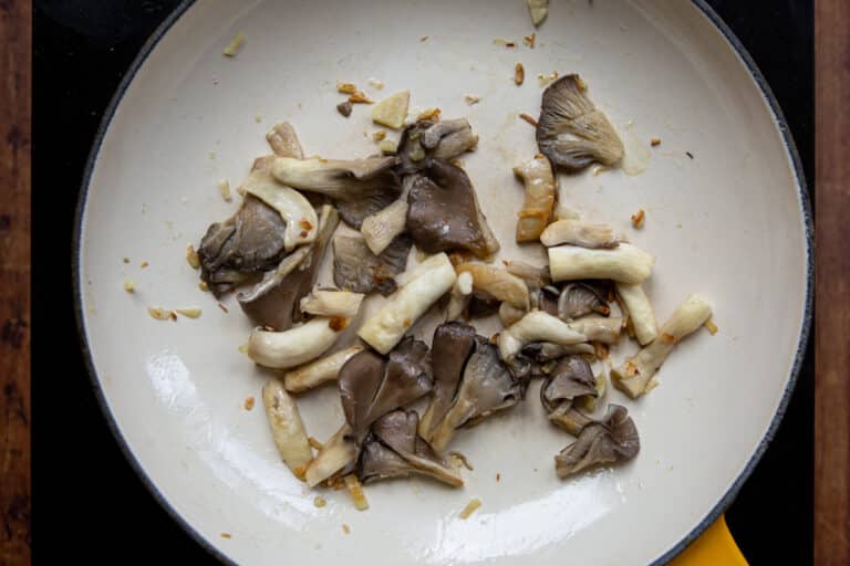 Oyster Mushroom Omelette Golden Truffle